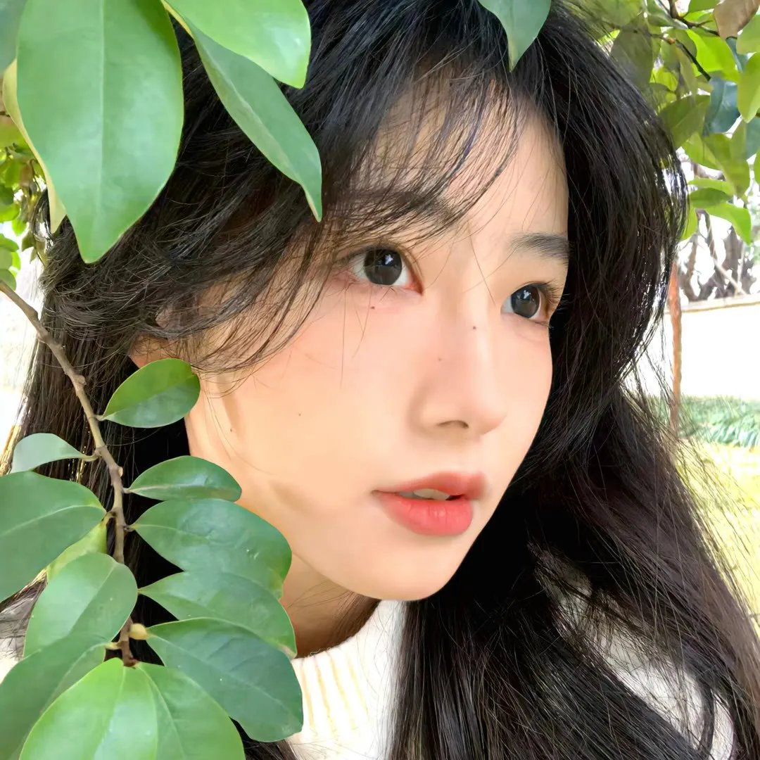 花予野兽 第二季