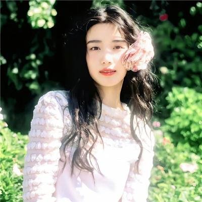 蛊惑狗寻宝